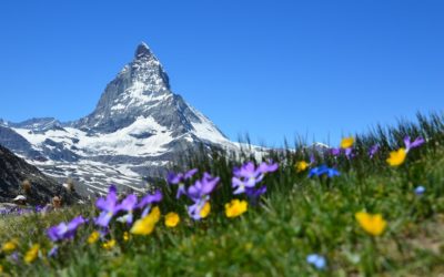 Auswandern in die Schweiz – Checkliste